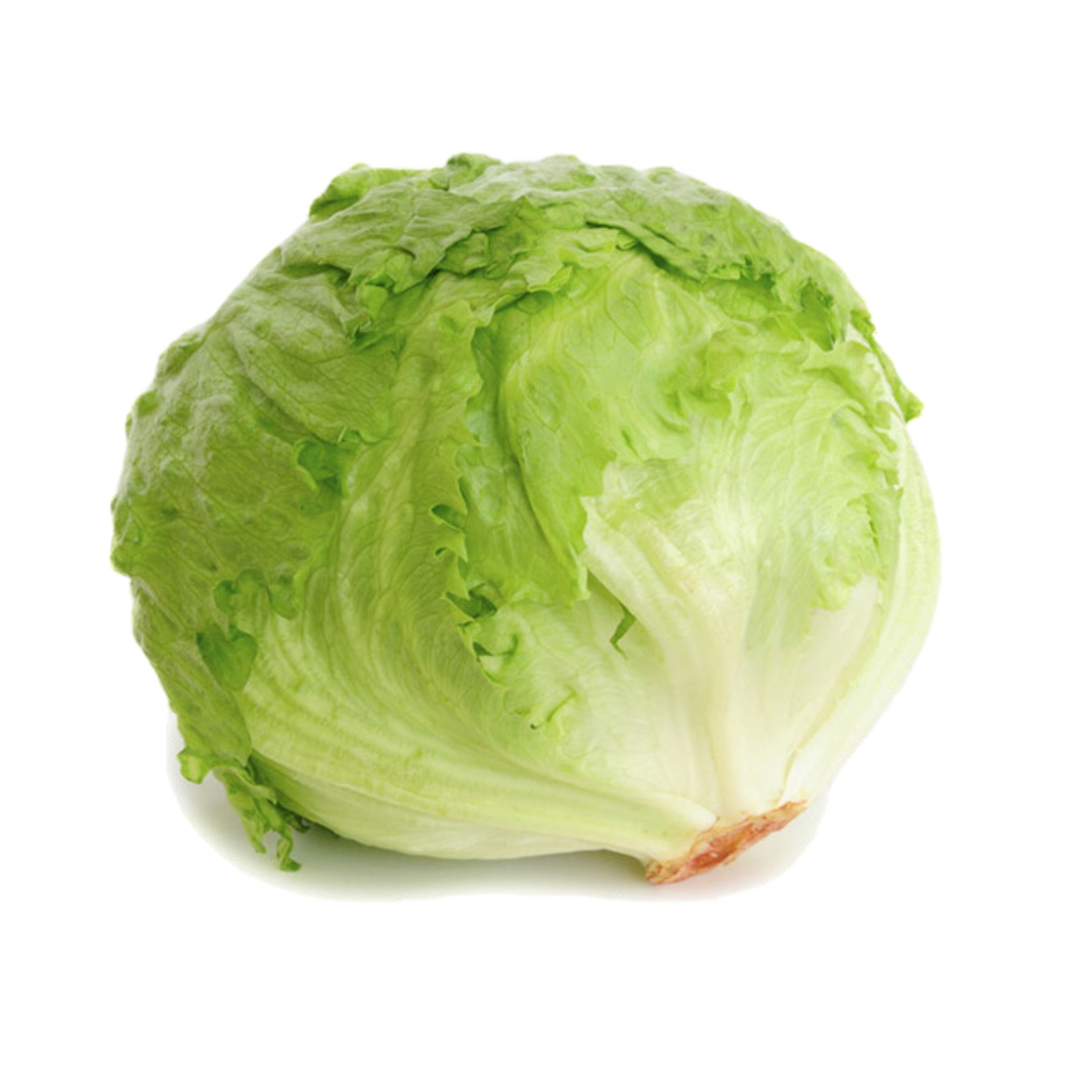 S&R Australian Iceberg Lettuce approx 780g S&R Australian Iceberg Lettuce approx 780g